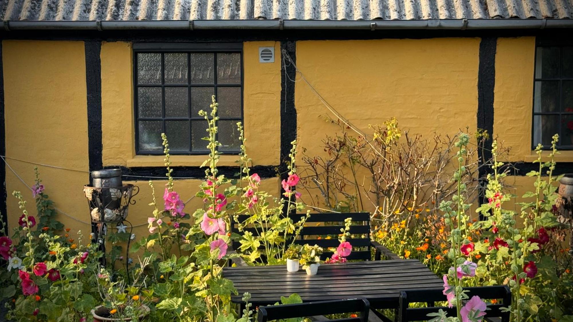 Dyrlev Bed & Breakfast Praesto Exterior photo