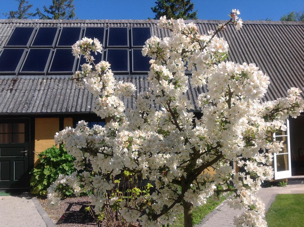 Dyrlev Bed & Breakfast Praesto Exterior photo